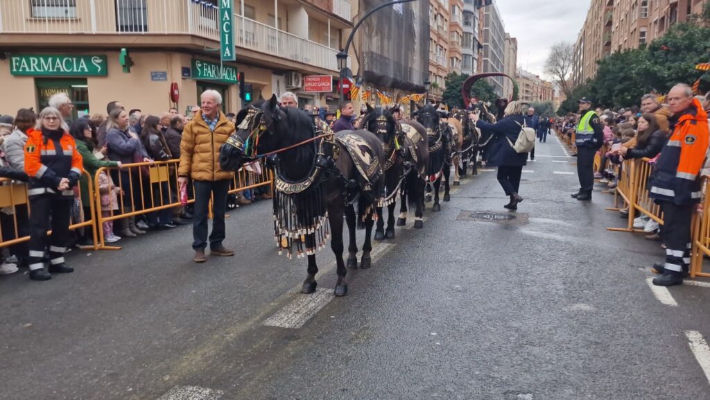 El día en que Valencia vuelve a bendecir a sus animales (y por qué esta edición ha sido especial) 225 bendicion de animales de la calle Sagunto reune a miles de personas en Valencia por San Antonio Abad 20260117 104730 396 Mediana