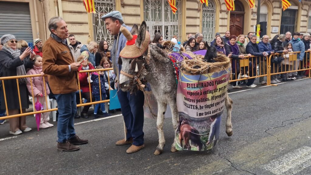 El día en que Valencia vuelve a bendecir a sus animales (y por qué esta edición ha sido especial) 226 bendicion de animales de la calle Sagunto reune a miles de personas en Valencia por San Antonio Abad 20260117 104730 397 Mediana