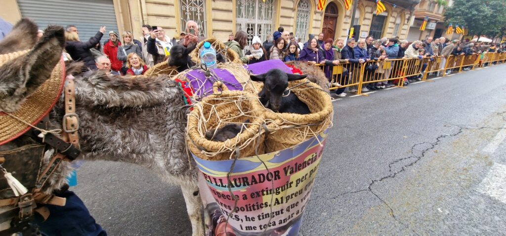 El día en que Valencia vuelve a bendecir a sus animales (y por qué esta edición ha sido especial) 228 bendicion de animales de la calle Sagunto reune a miles de personas en Valencia por San Antonio Abad 20260117 104730 400 Mediana