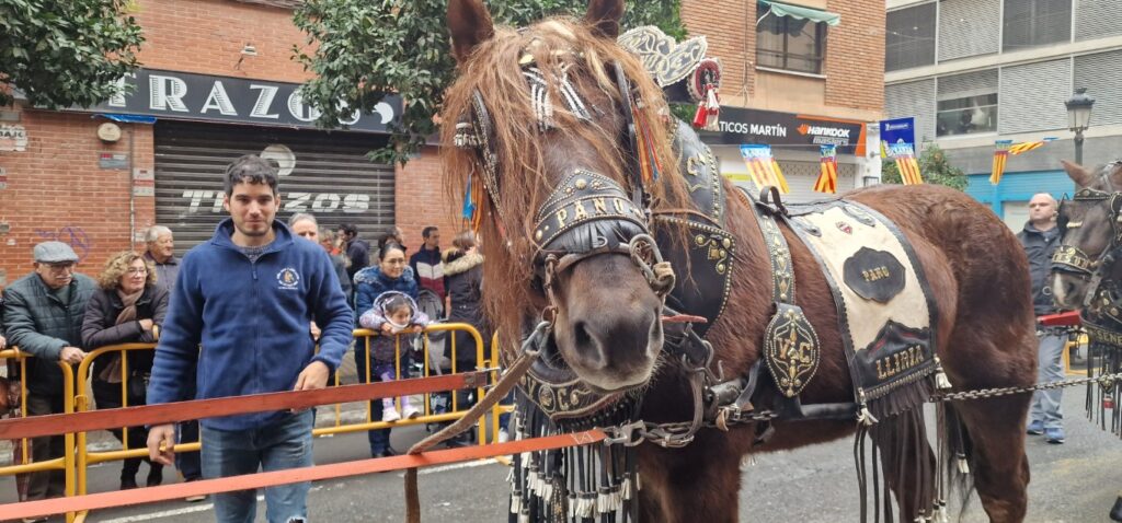 El día en que Valencia vuelve a bendecir a sus animales (y por qué esta edición ha sido especial) 230 bendicion de animales de la calle Sagunto reune a miles de personas en Valencia por San Antonio Abad 20260117 104730 403 Mediana