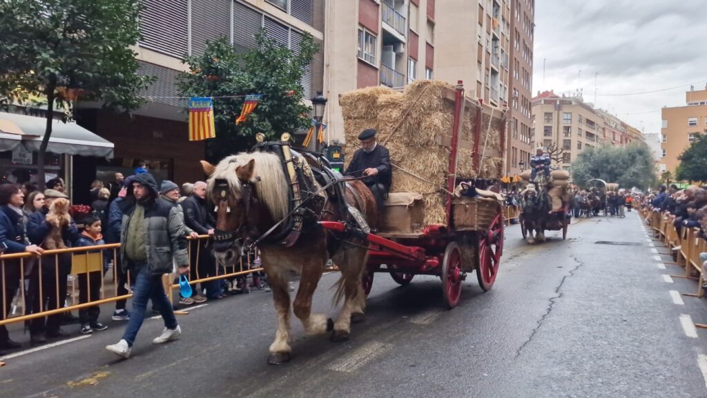 El día en que Valencia vuelve a bendecir a sus animales (y por qué esta edición ha sido especial) 232 bendicion de animales de la calle Sagunto reune a miles de personas en Valencia por San Antonio Abad 20260117 104730 408 Mediana