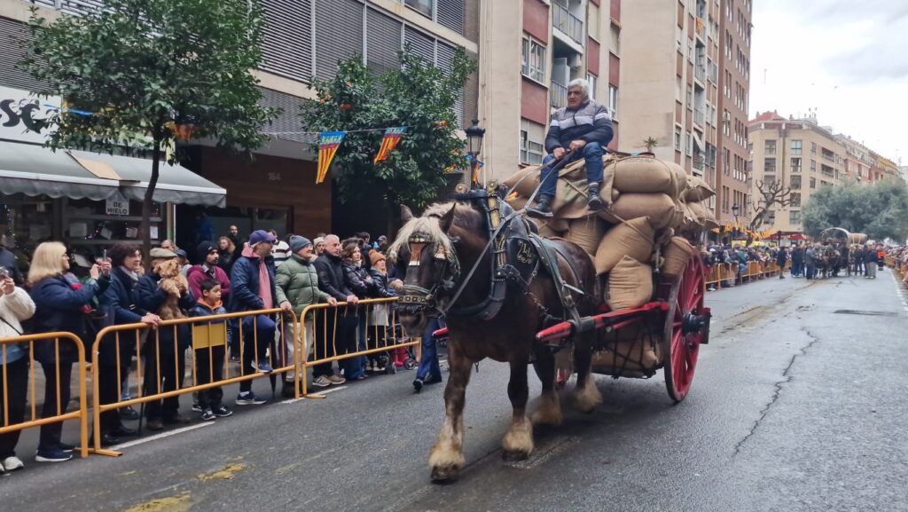 El día en que Valencia vuelve a bendecir a sus animales (y por qué esta edición ha sido especial) 233 bendicion de animales de la calle Sagunto reune a miles de personas en Valencia por San Antonio Abad 20260117 104730 409 Mediana