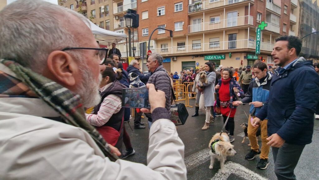 El día en que Valencia vuelve a bendecir a sus animales (y por qué esta edición ha sido especial) 11 bendicion de animales de la calle Sagunto reune a miles de personas en Valencia por San Antonio Abad 20260117 104730 63 Mediana