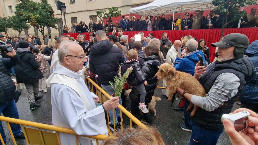 El día en que Valencia vuelve a bendecir a sus animales (y por qué esta edición ha sido especial) 13 bendicion de animales de la calle Sagunto reune a miles de personas en Valencia por San Antonio Abad 20260117 104730 66 Mediana