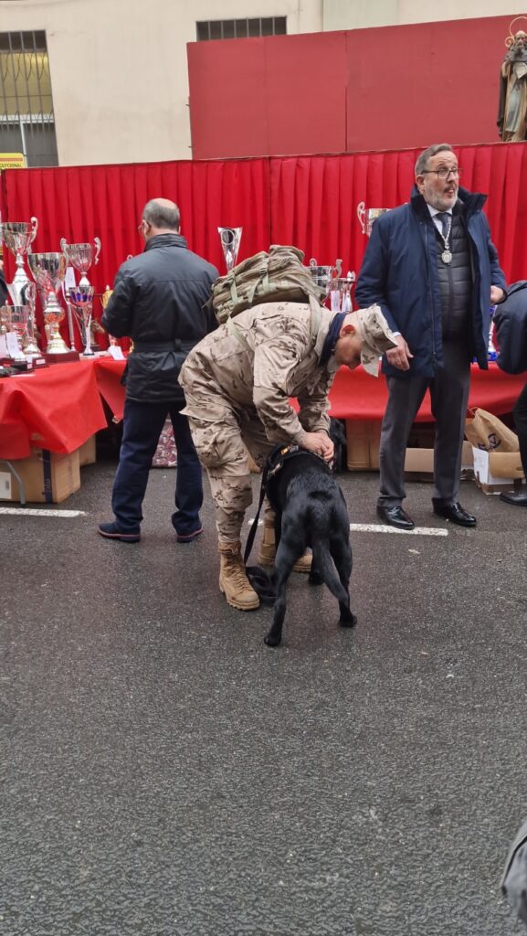 El día en que Valencia vuelve a bendecir a sus animales (y por qué esta edición ha sido especial) 33 bendicion de animales de la calle Sagunto reune a miles de personas en Valencia por San Antonio Abad 20260117 104730 7 Mediana
