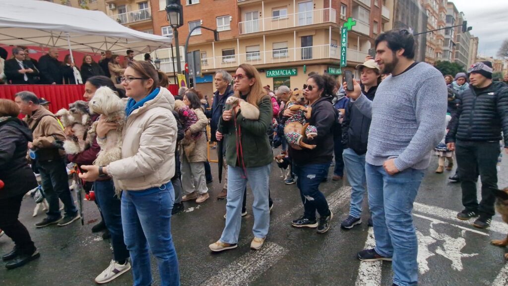 El día en que Valencia vuelve a bendecir a sus animales (y por qué esta edición ha sido especial) 14 bendicion de animales de la calle Sagunto reune a miles de personas en Valencia por San Antonio Abad 20260117 104730 70 Mediana