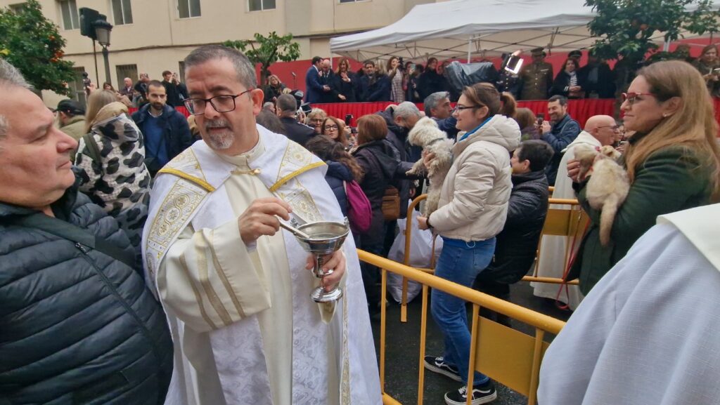 El día en que Valencia vuelve a bendecir a sus animales (y por qué esta edición ha sido especial) 15 bendicion de animales de la calle Sagunto reune a miles de personas en Valencia por San Antonio Abad 20260117 104730 71 Mediana