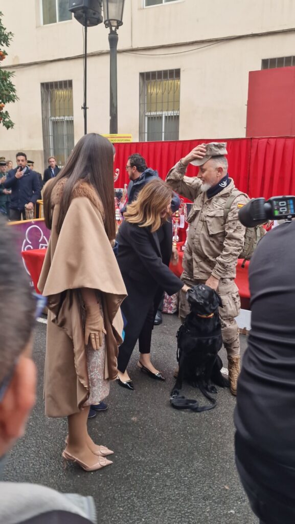 El día en que Valencia vuelve a bendecir a sus animales (y por qué esta edición ha sido especial) 34 bendicion de animales de la calle Sagunto reune a miles de personas en Valencia por San Antonio Abad 20260117 104730 8 Mediana