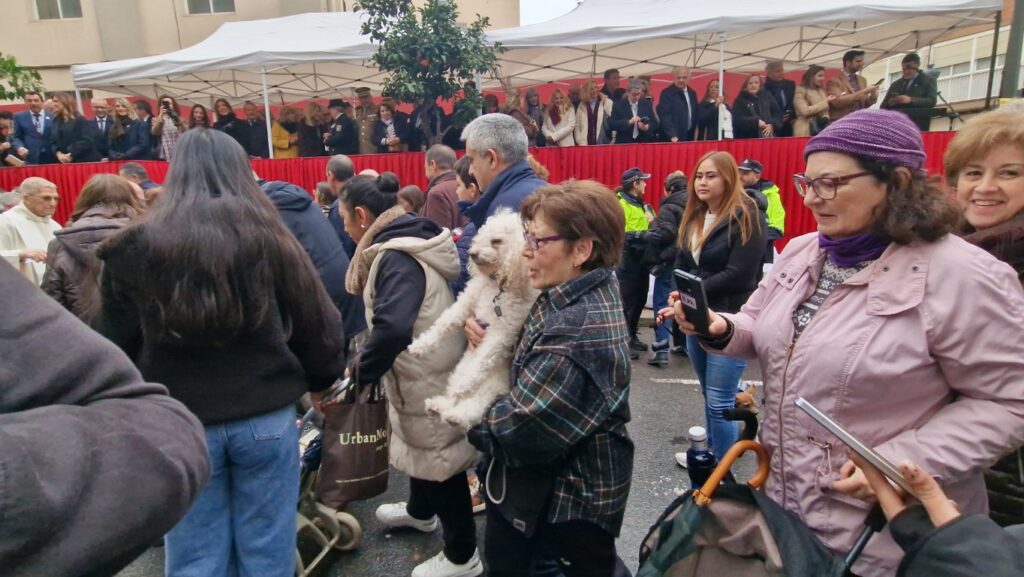 El día en que Valencia vuelve a bendecir a sus animales (y por qué esta edición ha sido especial) 20 bendicion de animales de la calle Sagunto reune a miles de personas en Valencia por San Antonio Abad 20260117 104730 80 Mediana