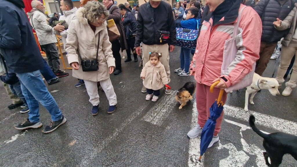 El día en que Valencia vuelve a bendecir a sus animales (y por qué esta edición ha sido especial) 21 bendicion de animales de la calle Sagunto reune a miles de personas en Valencia por San Antonio Abad 20260117 104730 81 Mediana