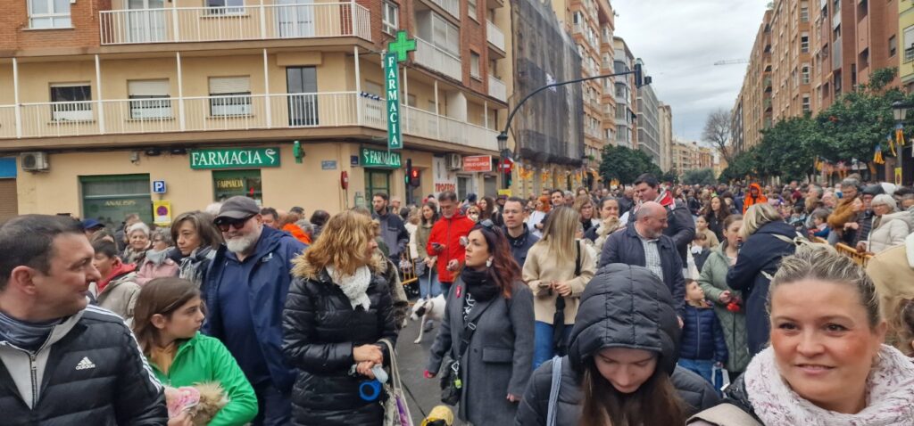 El día en que Valencia vuelve a bendecir a sus animales (y por qué esta edición ha sido especial) 24 bendicion de animales de la calle Sagunto reune a miles de personas en Valencia por San Antonio Abad 20260117 104730 85 Mediana