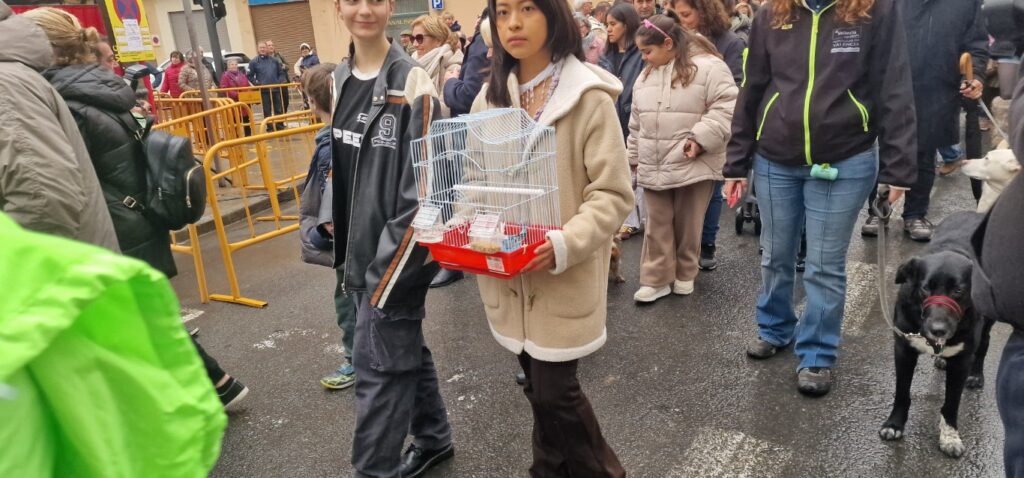 El día en que Valencia vuelve a bendecir a sus animales (y por qué esta edición ha sido especial) 78 bendicion de animales de la calle Sagunto reune a miles de personas en Valencia por San Antonio Abad 20260117 104730 98 Mediana