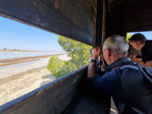 birding 07