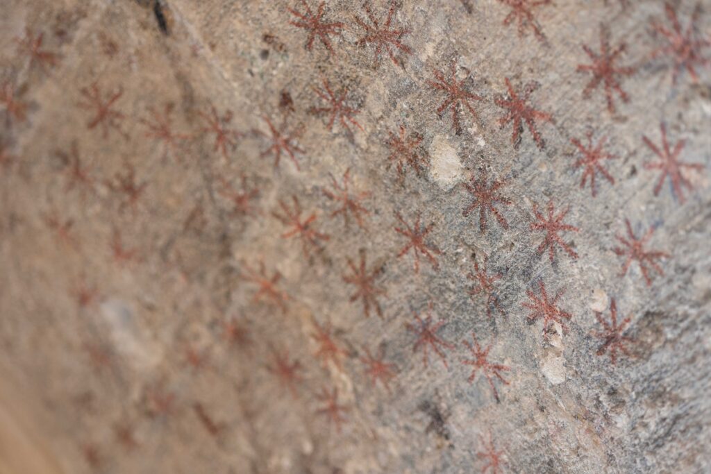el patio sur de San Juan del Hospital 4