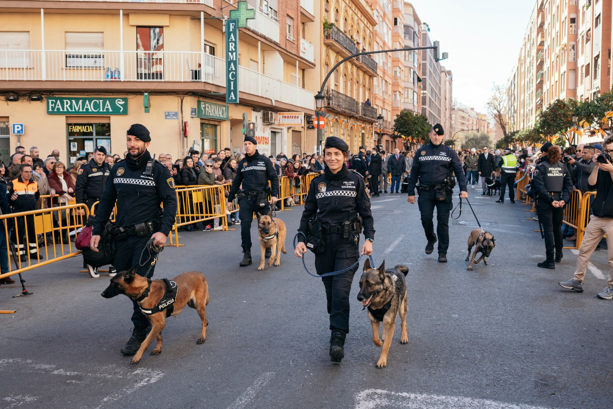 san antonio abad bendicion