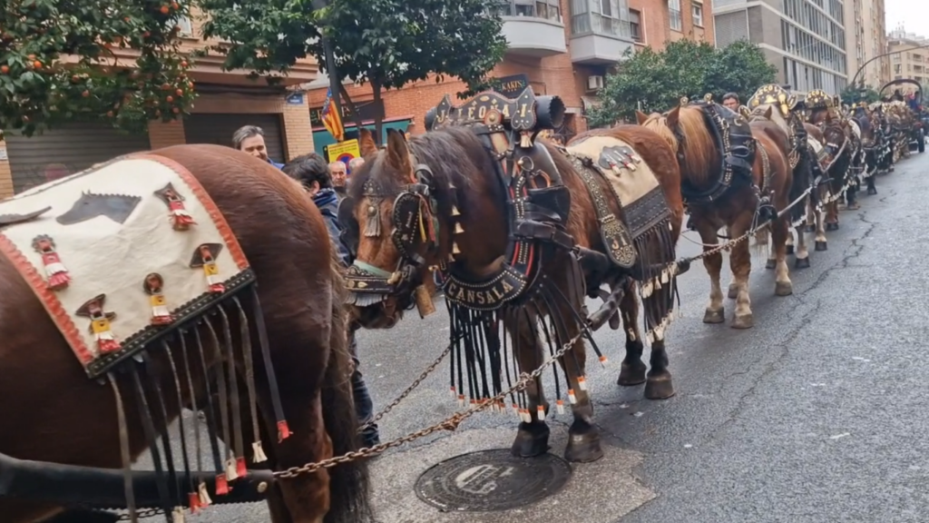 El día en que Valencia vuelve a bendecir a sus animales (y por qué esta edición ha sido especial) 59 san antonio abad valencia 2026 1 Mediana