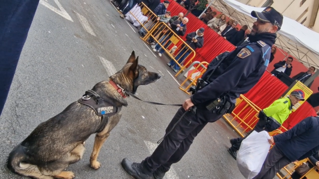 El día en que Valencia vuelve a bendecir a sus animales (y por qué esta edición ha sido especial) 69 san antonio abad valencia 2026 11 Mediana