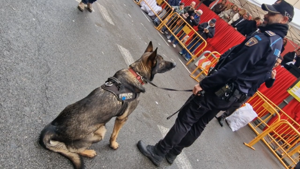El día en que Valencia vuelve a bendecir a sus animales (y por qué esta edición ha sido especial) 40 san antonio abad valencia 2026 12 Mediana
