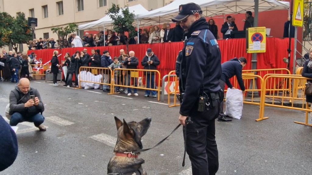 El día en que Valencia vuelve a bendecir a sus animales (y por qué esta edición ha sido especial) 41 san antonio abad valencia 2026 13 Mediana