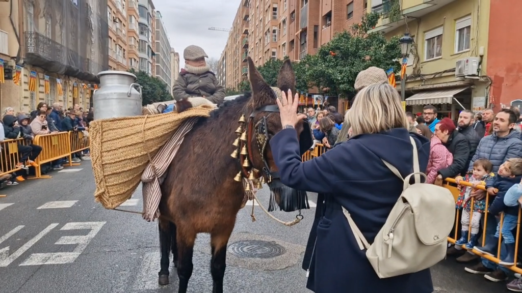 El día en que Valencia vuelve a bendecir a sus animales (y por qué esta edición ha sido especial) 70 san antonio abad valencia 2026 14