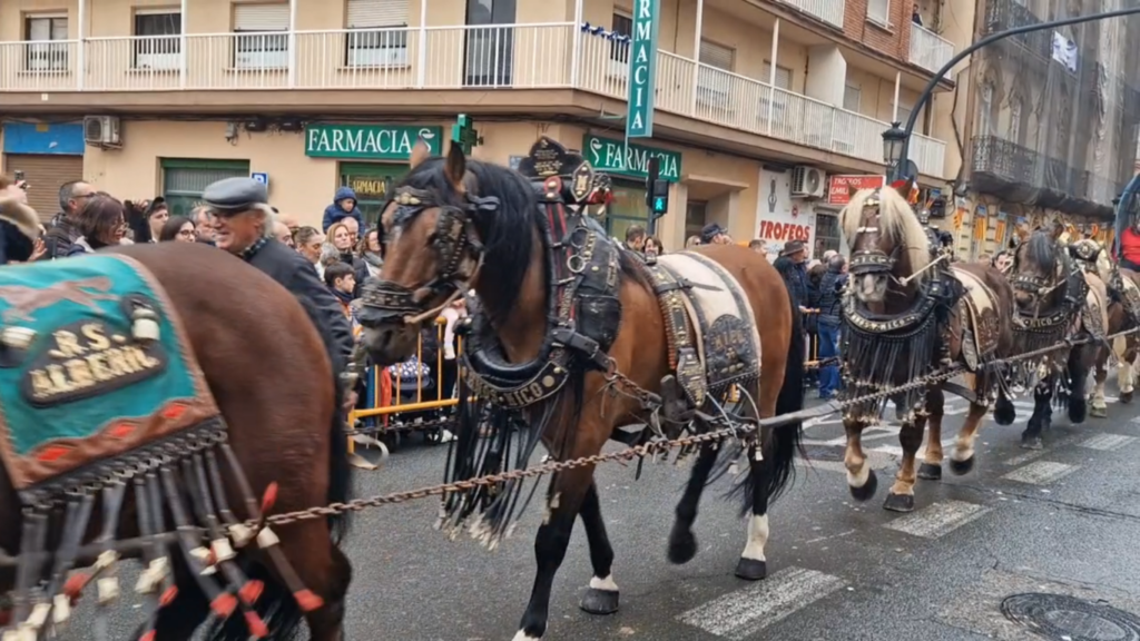 El día en que Valencia vuelve a bendecir a sus animales (y por qué esta edición ha sido especial) 45 san antonio abad valencia 2026 17 Mediana