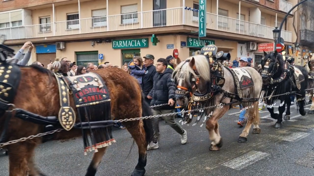 El día en que Valencia vuelve a bendecir a sus animales (y por qué esta edición ha sido especial) 47 san antonio abad valencia 2026 19 Mediana