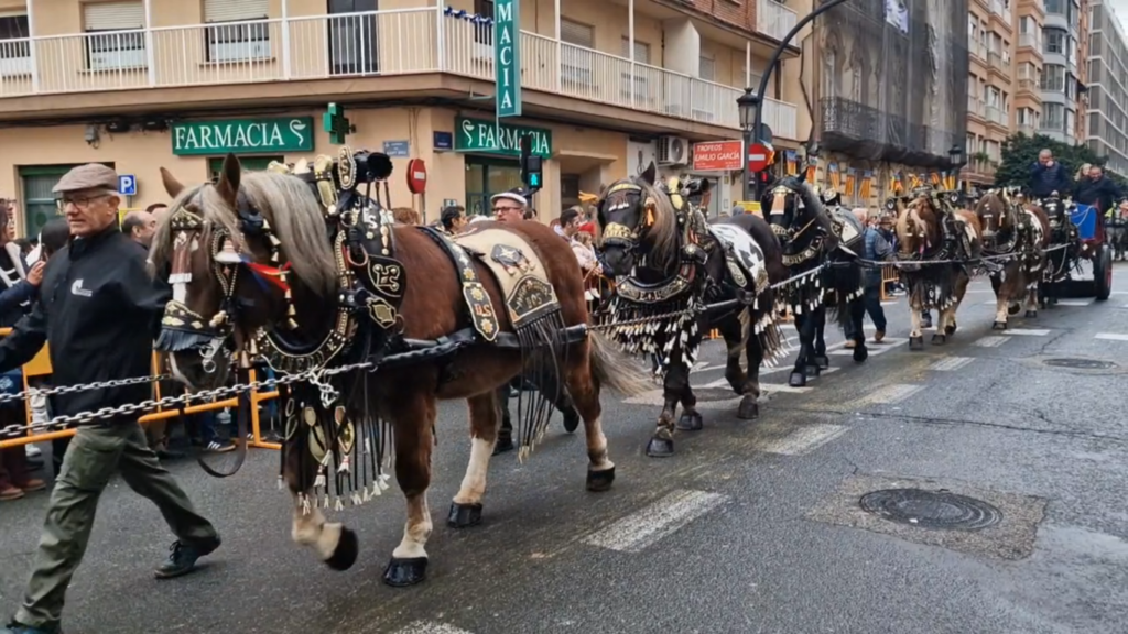 El día en que Valencia vuelve a bendecir a sus animales (y por qué esta edición ha sido especial) 49 san antonio abad valencia 2026 21 Mediana