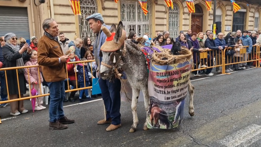san antonio abad valencia 2026 24 Mediana 1