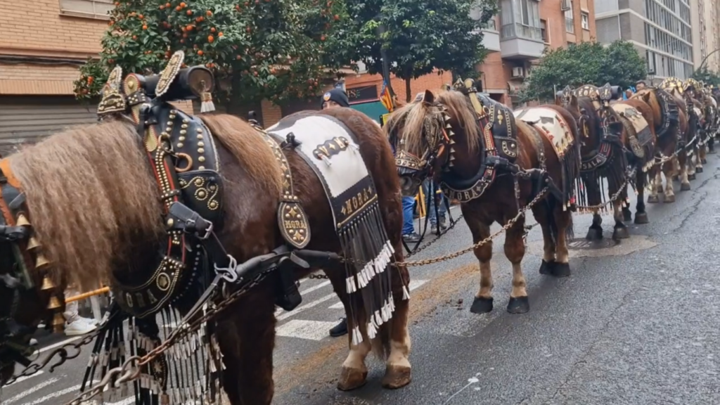 san antonio abad valencia 2026 26 Mediana 1