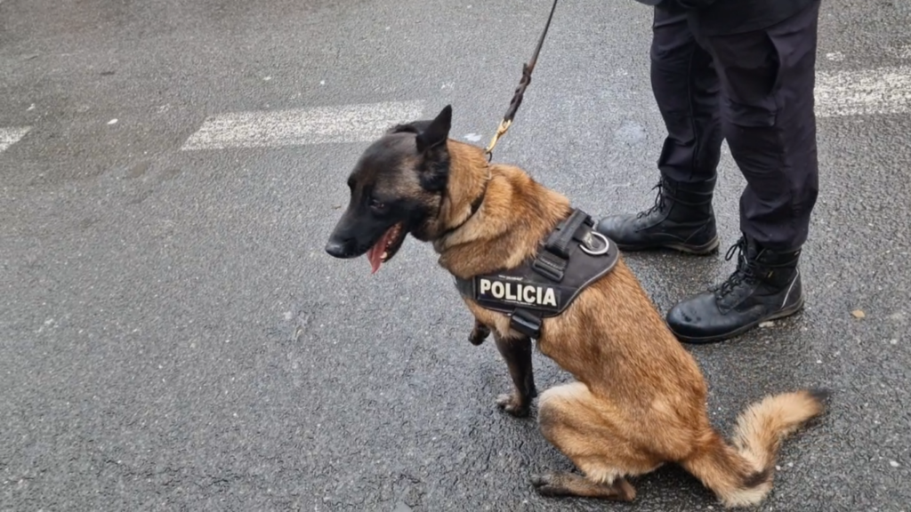 san antonio abad valencia 2026 6 Mediana 1