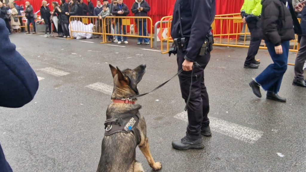 El día en que Valencia vuelve a bendecir a sus animales (y por qué esta edición ha sido especial) 67 san antonio abad valencia 2026 9 Mediana