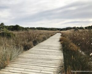 sendero madera parque natural albufera devesa el saler valencia 480x384 1
