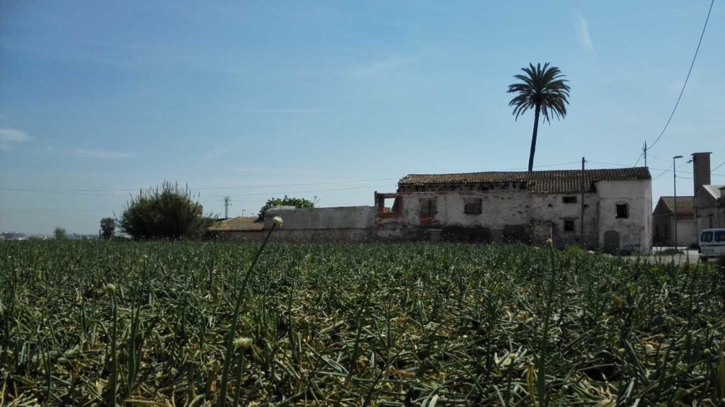 Moli de la Sal o del Salt Burjassot el ultimo molino de la Huerta que se apaga entre ruinas 2
