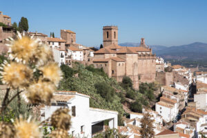 Vistas Generale B4A2801