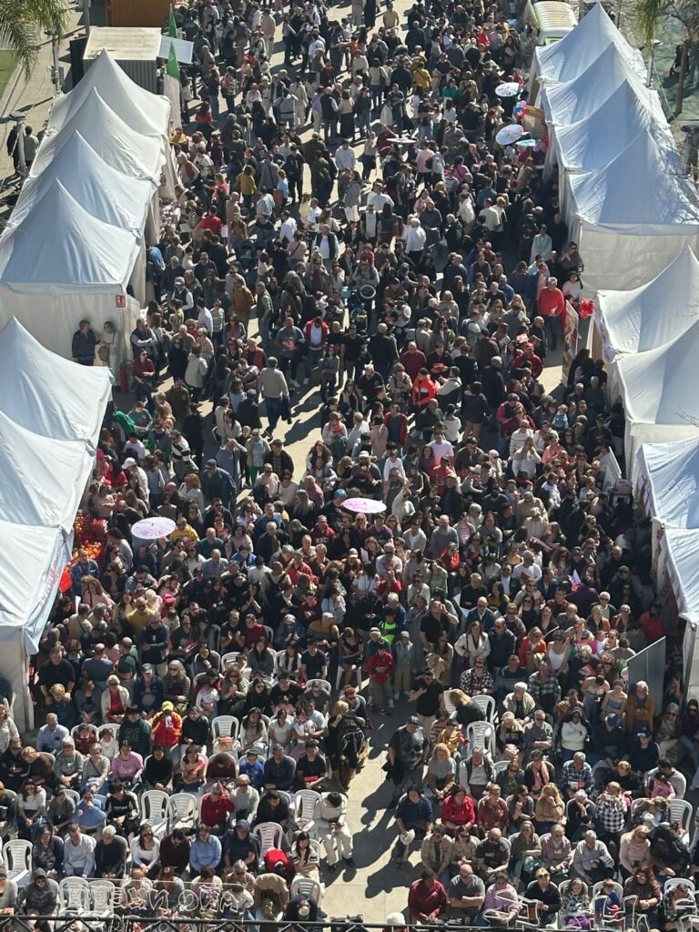 orrent bate records con la cabalgata del Ano Nuevo Chino 2026 1