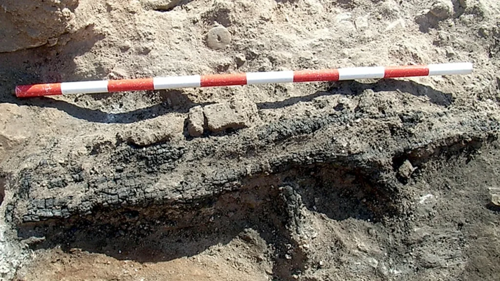 36237750 5db5 47cc 9517 64354dbdfffb 16 9 aspect ratio 1600w 0