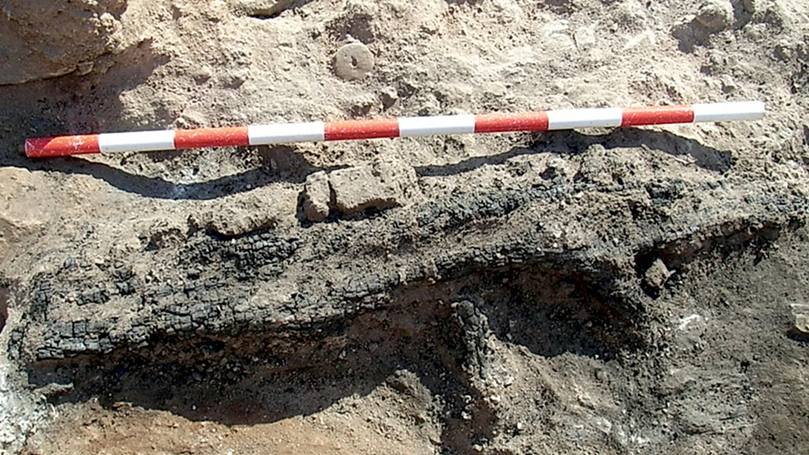 36237750 5db5 47cc 9517 64354dbdfffb 16 9 aspect ratio 1600w 0