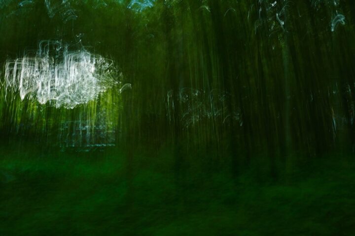 VerdeVerdad Exposicio Drassanes