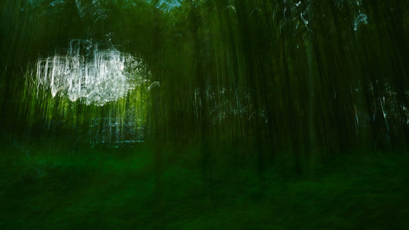 VerdeVerdad Exposicio Drassanes