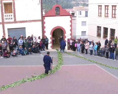 3571ce2f 7512 45e9 93e0 83fab5dbb7b4 16 9 aspect ratio 1600w 0