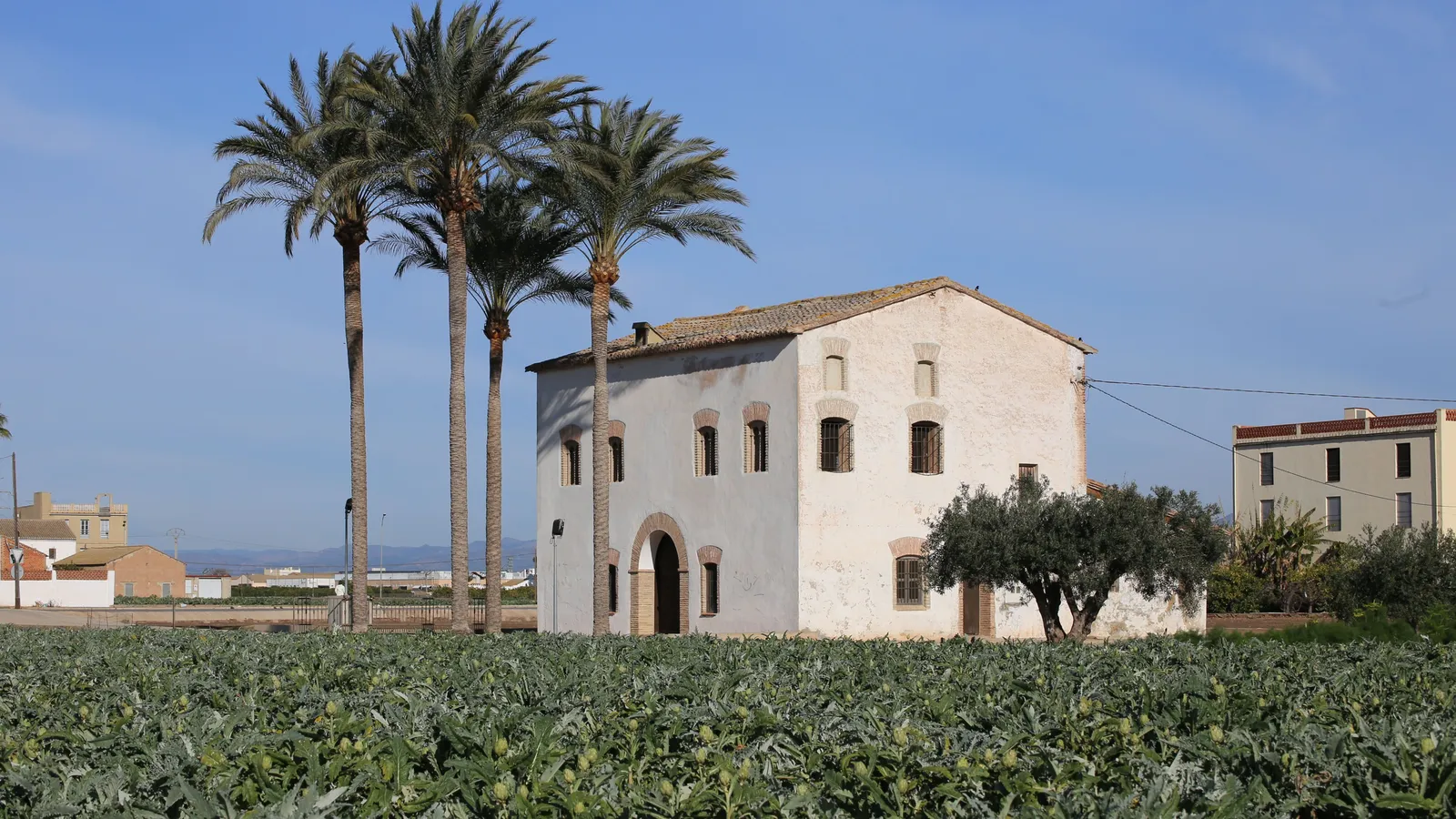 6dcf2434 3591 47f8 bbd3 eedea2fcd4e7 16 9 aspect ratio 1600w 0