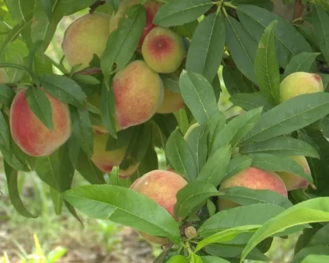 ef2c3871 b671 4c8a 8136 63b1eb123566 16 9 aspect ratio 1600w 0