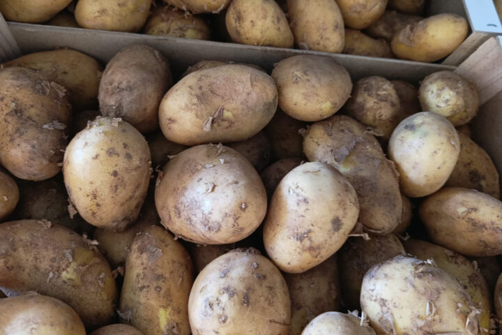 patatas valencianas
