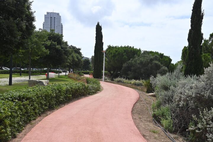 0626 Carril running Jardi del Turia web