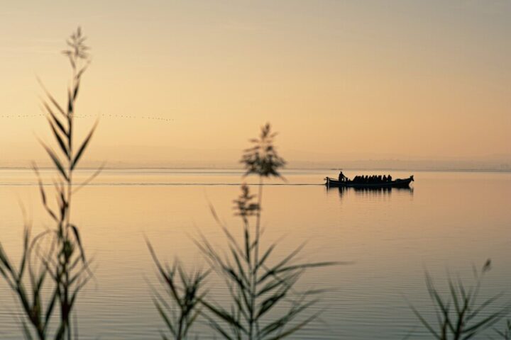 0621 Lluent Albufera 1