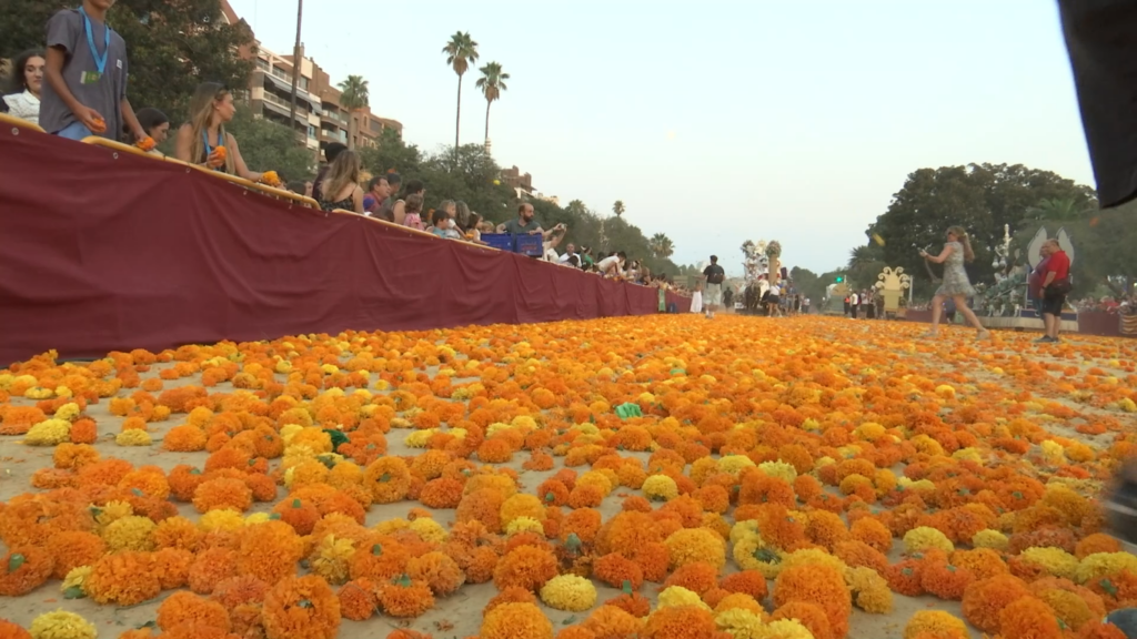 'I una vela llatina en el mar' conquista la Batalla de Flores 2026 y se lleva el máximo galardón 65 Batalla de flores 2026 2 Mediana 1