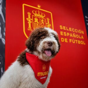 Musa RFEF