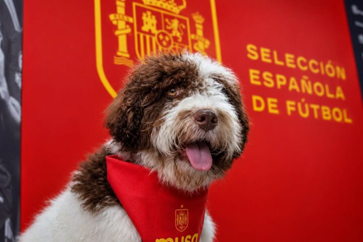 Musa RFEF