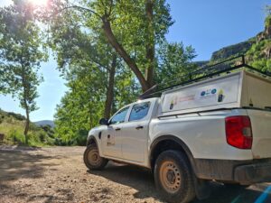 coche en bosque de tejojpg