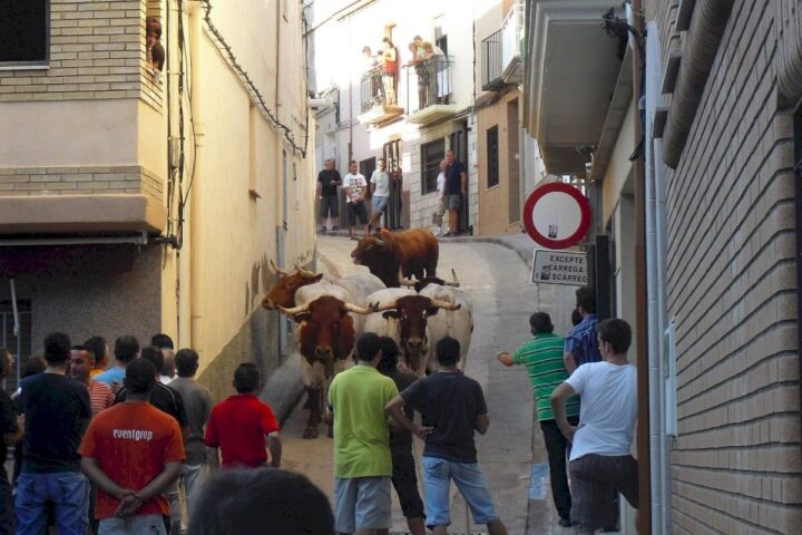 toros xl